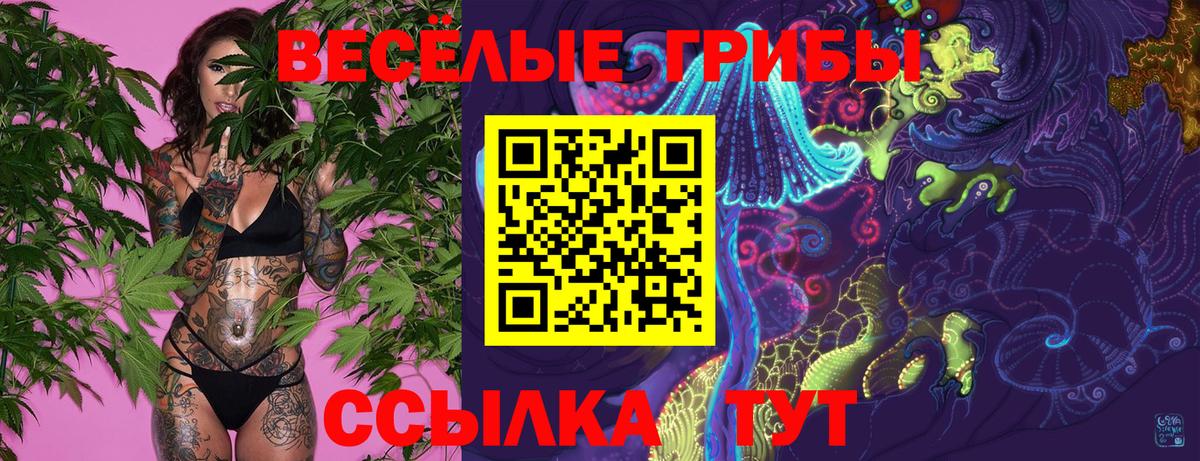 Тверь  Галлюциногенные грибы Psilocybe  Вход с VPN 